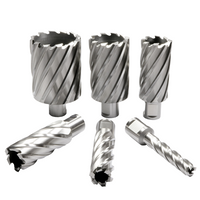 Wiertło rurowe (WELDON) 20,0/55mm HSS BMM