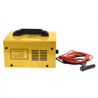 Prostownik inwerterowy Magnum AGRI 20 V2 (12/24V, 20A)