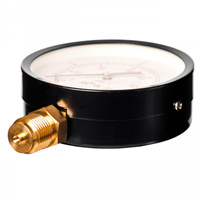 Manometr do powietrza 100mm 0-6 bar, gwint 1/2" boczny