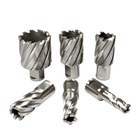 Wiertło rurowe (WELDON)  34,0/30mm HSS BMM