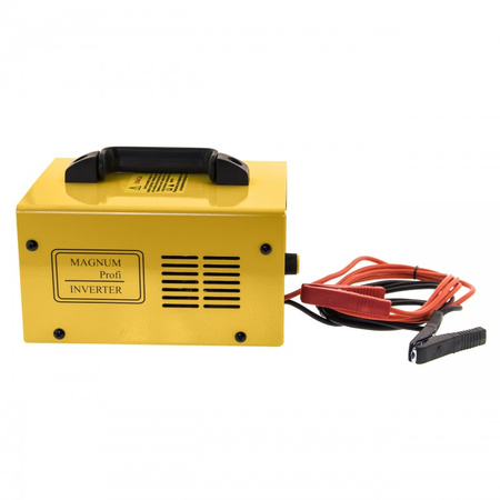 Prostownik inwerterowy Magnum AGRI 20 V2 (12/24V, 20A)